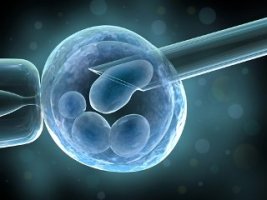 ivf в израиле