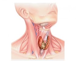 Виды операций при раке щитовидной железы в Асаф ха-Рофэ