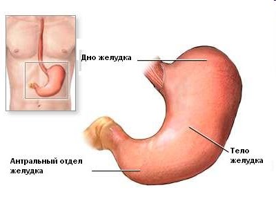 лапароскопическая гастрэктомия